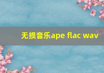 无损音乐ape flac wav